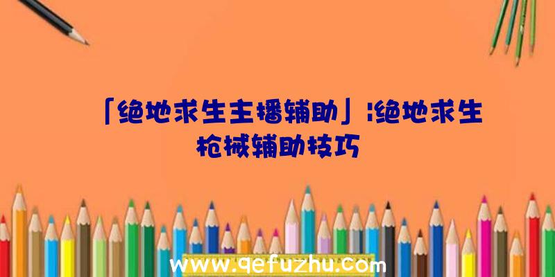 「绝地求生主播辅助」|绝地求生枪械辅助技巧